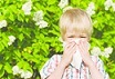 8 июля Всемирный день борьбы с аллергией