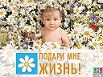 В Астраханской области стартовала акция «Подари мне жизнь!»