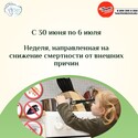 «Неделя, направленная на снижение смертности от внешних причин» «Неделя, направленная на снижение смертности от внешних причин»