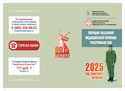 Порядок оказания медицинской помощи участникам СВО