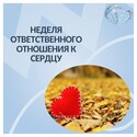 «Неделя ответственного отношения к сердцу: как беречь сердце ребёнка и всей семьи»