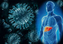13-19 марта Неделя по борьбе с заражением и распространением хронического вирусного гепатита С